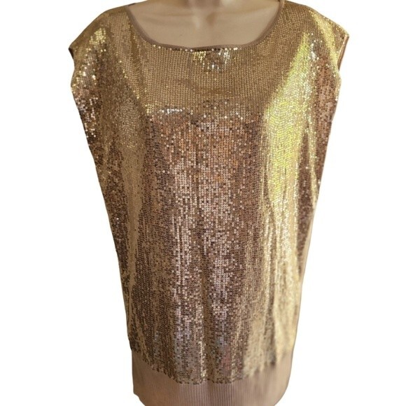 Caché Champagne/Nude Sequins Boat Neck Blouse Size Small - Picture 1 of 7